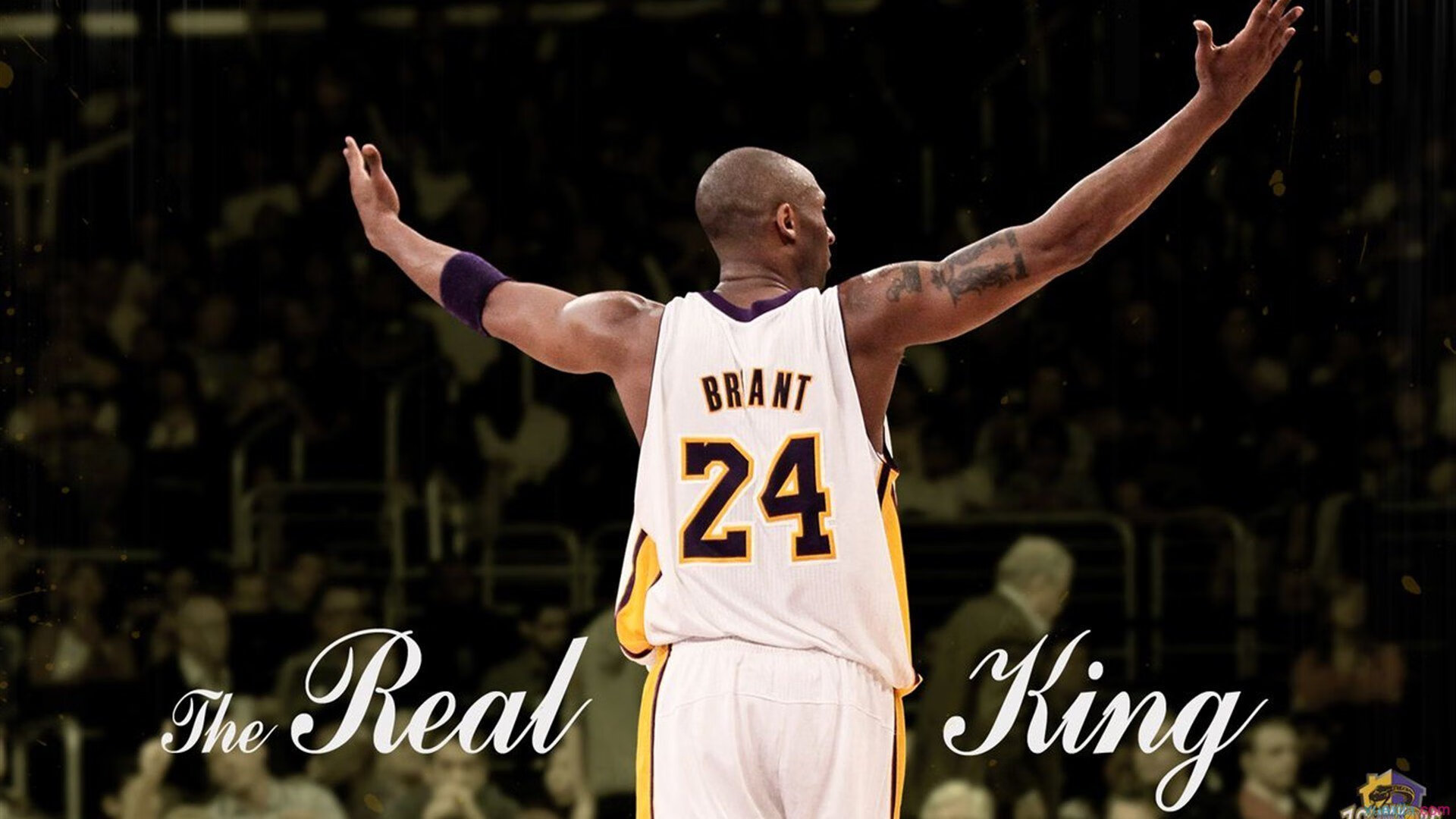 仙扬-帕克加盟山东女篮成征战WCBA赛季最多的外援